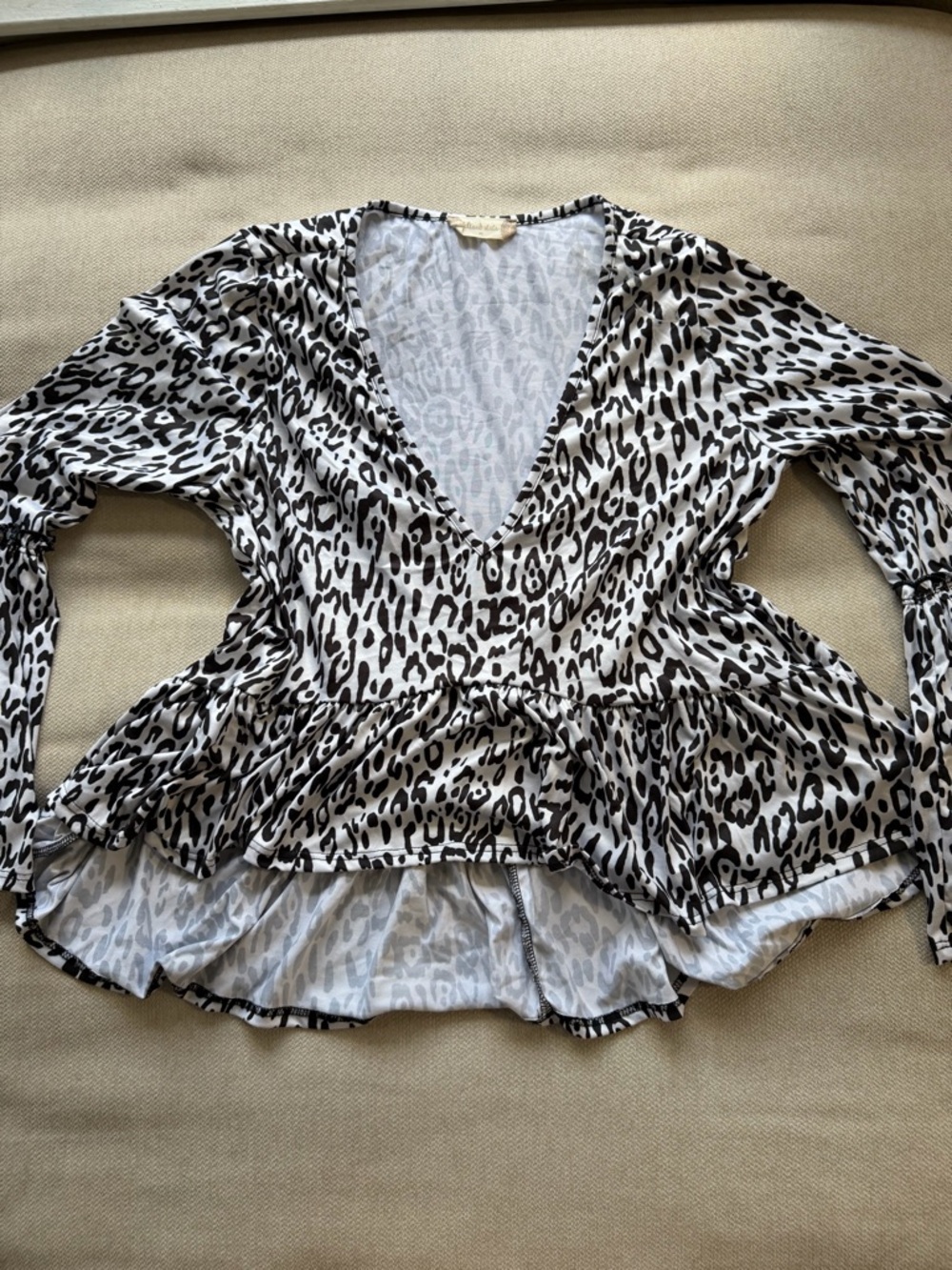Alter'd State Leopard Print V-Neck Women's Top